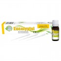 Масло за разтваряне на гутаперча - Eucalyptol - течност