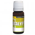 Масло за разтваряне на гутаперча - Eucalyptol - течност