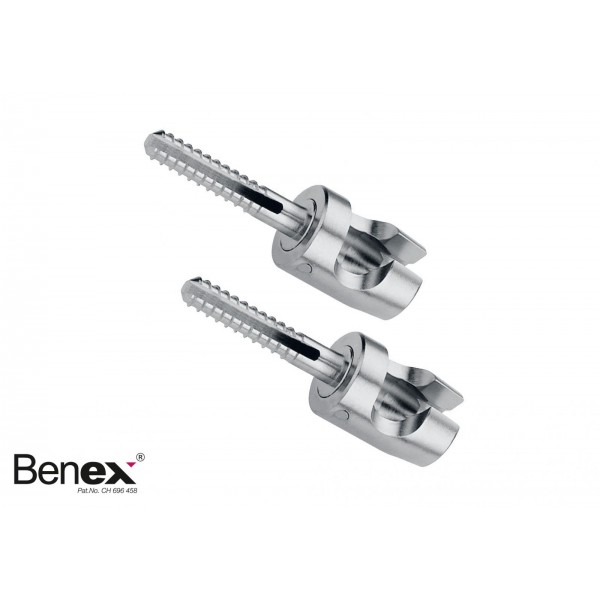 12.300.65 СИСТЕМА ЗА ВАДЕНЕ BENEX - ВИНТ, КЪС 10 MM (1ЧИФТ), Ø2,1MM ОПАКОВКА - 2 БРОЯ